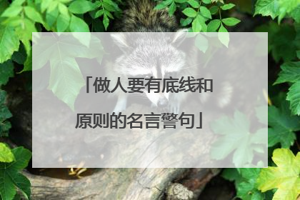 做人要有底线和原则的名言警句