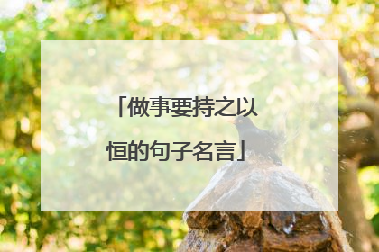 做事要持之以恒的句子名言