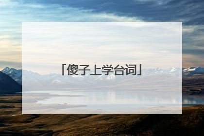 傻子上学台词