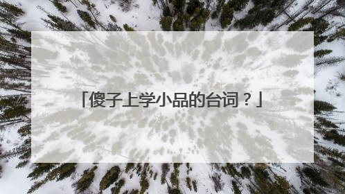 傻子上学小品的台词?