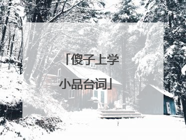 傻子上学小品台词