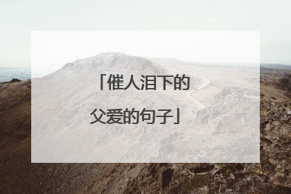 催人泪下的父爱的句子