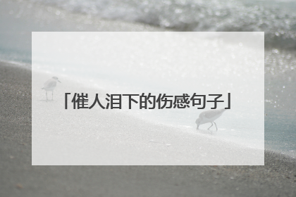 催人泪下的伤感句子