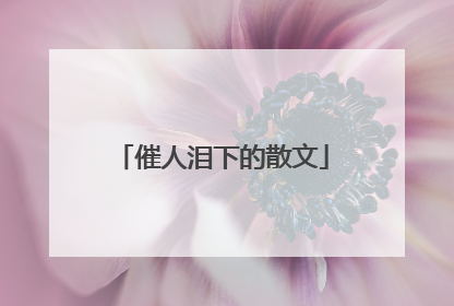 催人泪下的散文