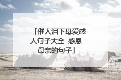 催人泪下母爱感人句子大全 感恩母亲的句子
