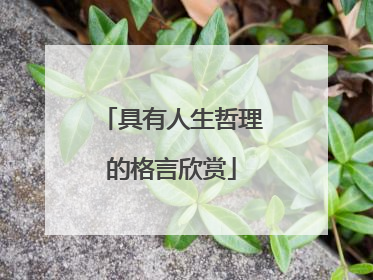 具有人生哲理的格言欣赏