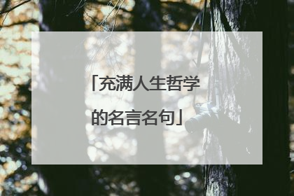 充满人生哲学的名言名句
