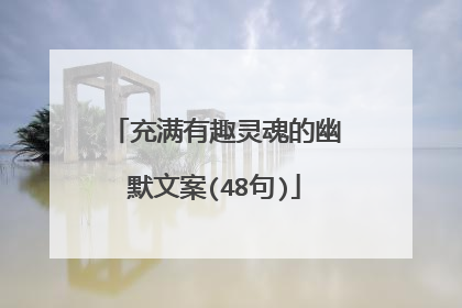 充满有趣灵魂的幽默文案(48句)