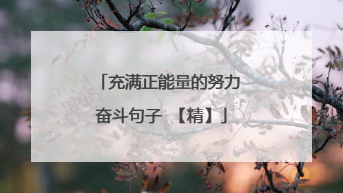 充满正能量的努力奋斗句子 【精】
