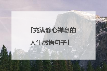 充满静心禅意的人生感悟句子