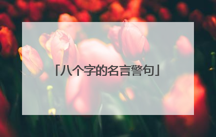 八个字的名言警句