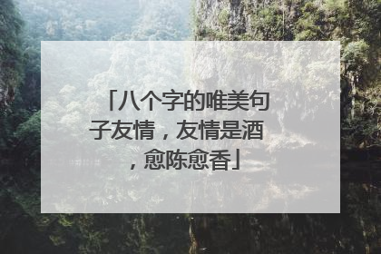 八个字的唯美句子友情,友情是酒,愈陈愈香