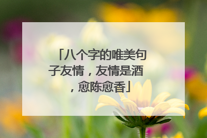 八个字的唯美句子友情,友情是酒,愈陈愈香