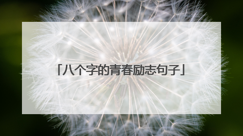 八个字的青春励志句子