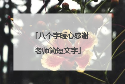 八个字暖心感谢老师简短文字