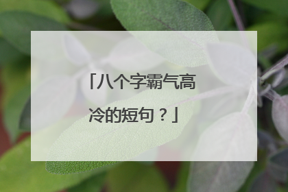 八个字霸气高冷的短句?