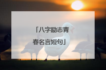 八字励志青春名言短句