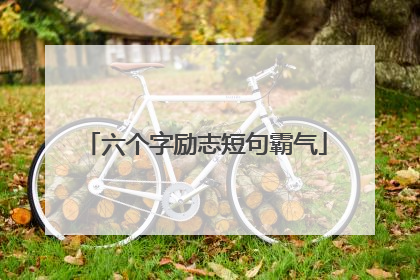 六个字励志短句霸气