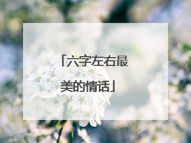 六字左右最美的情话