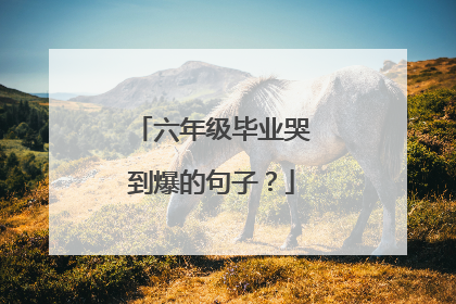 六年级毕业哭到爆的句子?