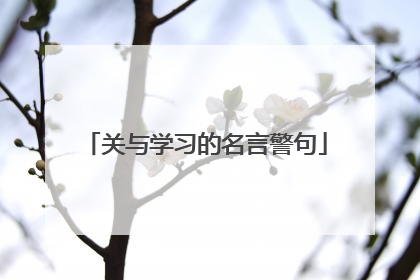 关与学习的名言警句