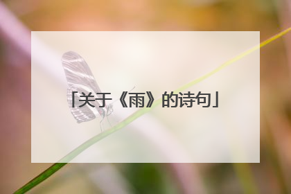 关于《雨》的诗句