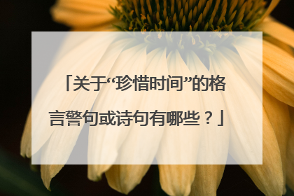 关于“珍惜时间”的格言警句或诗句有哪些?