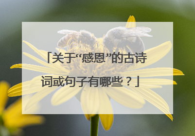 关于“感恩”的古诗词或句子有哪些?
