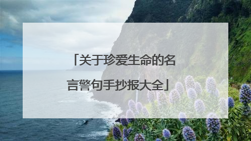 关于珍爱生命的名言警句手抄报大全