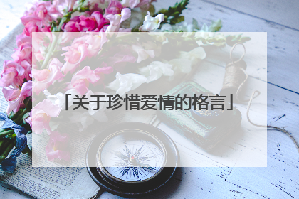 关于珍惜爱情的格言