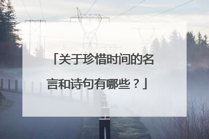 关于珍惜时间的名言和诗句有哪些?