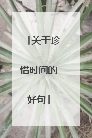关于珍惜时间的好句