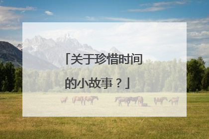关于珍惜时间的小故事?