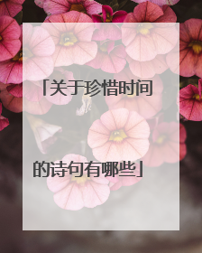 关于珍惜时间的诗句有哪些