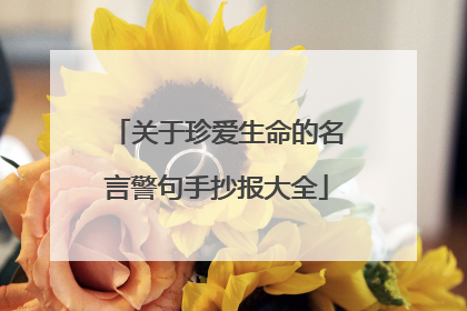 关于珍爱生命的名言警句手抄报大全