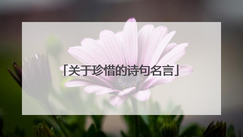 关于珍惜的诗句名言