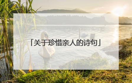 关于珍惜亲人的诗句
