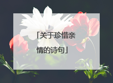 关于珍惜亲情的诗句