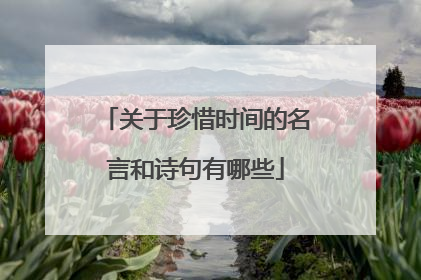 关于珍惜时间的名言和诗句有哪些