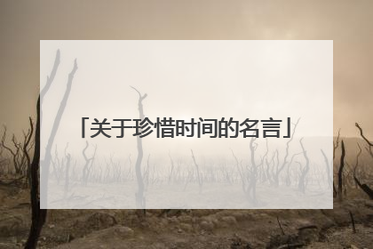 关于珍惜时间的名言