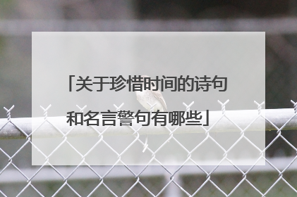 关于珍惜时间的诗句和名言警句有哪些