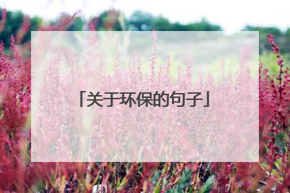 关于环保的句子