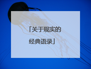 关于现实的经典语录