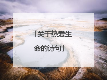 关于热爱生命的诗句