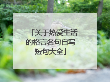 关于热爱生活的格言名句自写短句大全