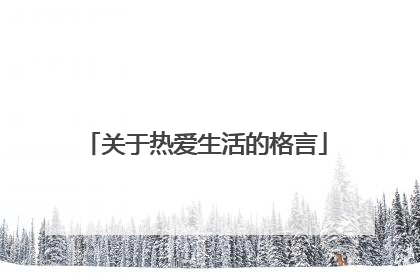 关于热爱生活的格言