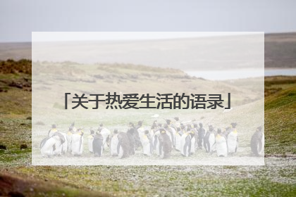 关于热爱生活的语录