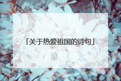 关于热爱祖国的诗句