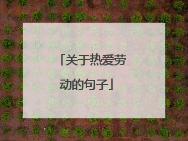 关于热爱劳动的句子
