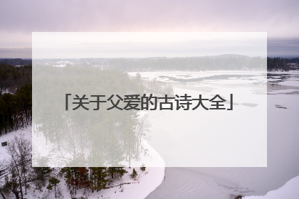 关于父爱的古诗大全